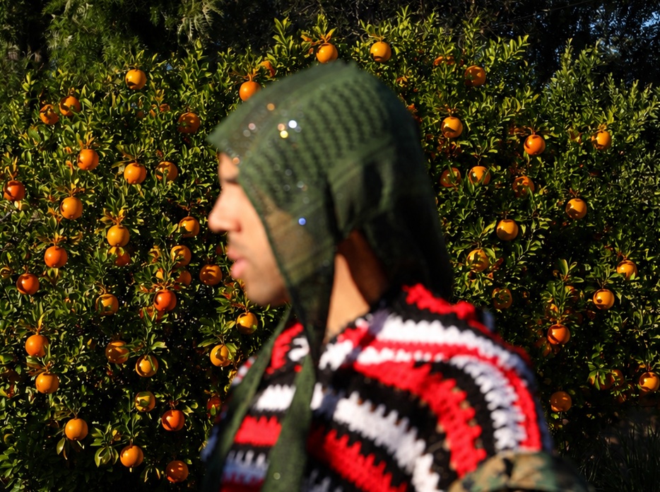 Vic Mensa — Orange Tree Series